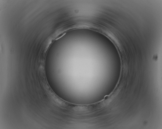 X0000092321481200709281356