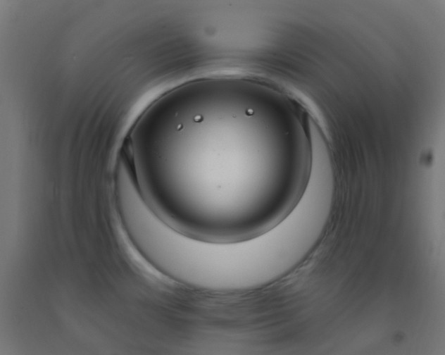 X0000092321483200709281356