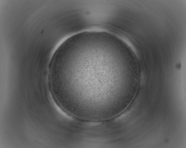 X0000092321484200709281356