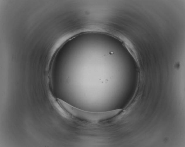 X0000092321485200709281356