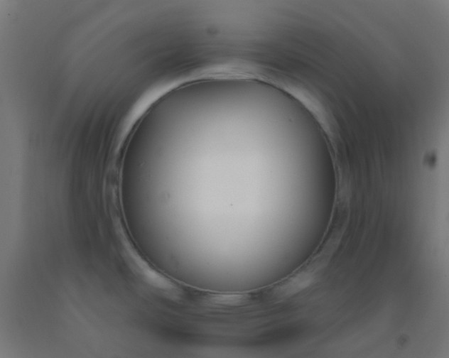 X0000092321486200709281356