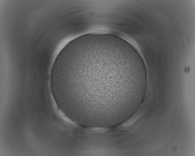 X0000092321488200709281356