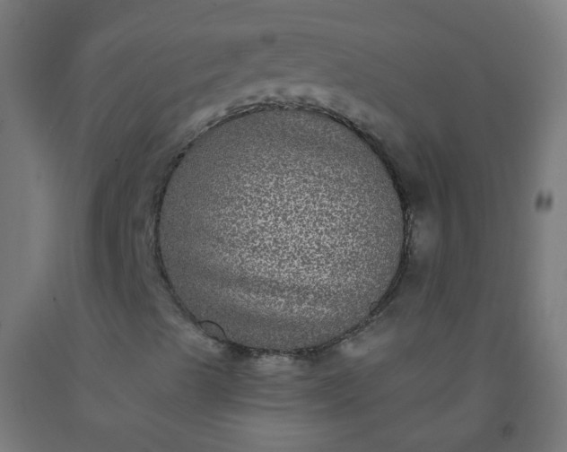 X0000092321489200709281355