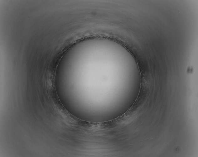 X0000092321490200709281355