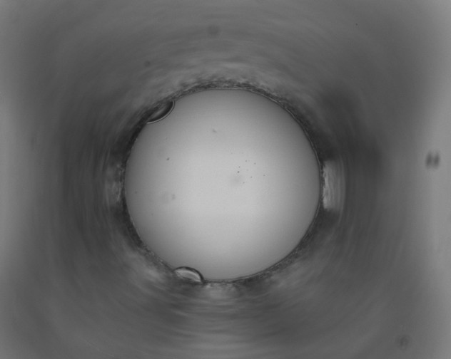 X0000092321491200709281355