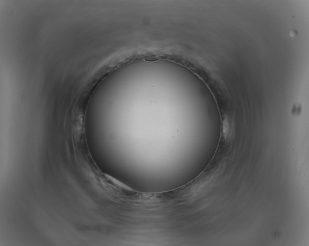 X0000092321492200709281355