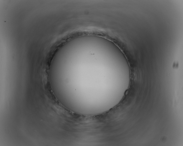 X0000092321493200709281355