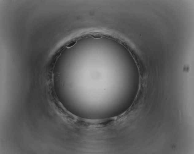 X0000092321496200709281355