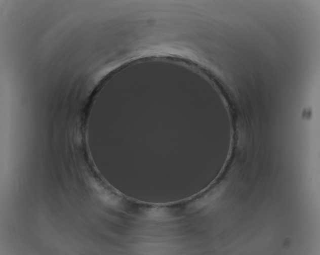X0000092321497200709281356