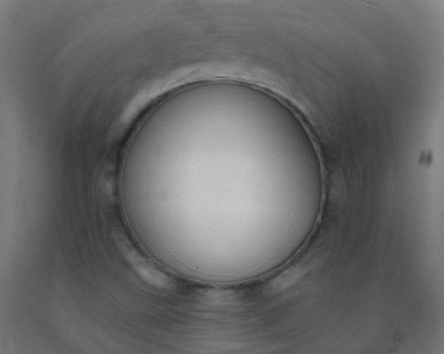 X0000092321499200709281356