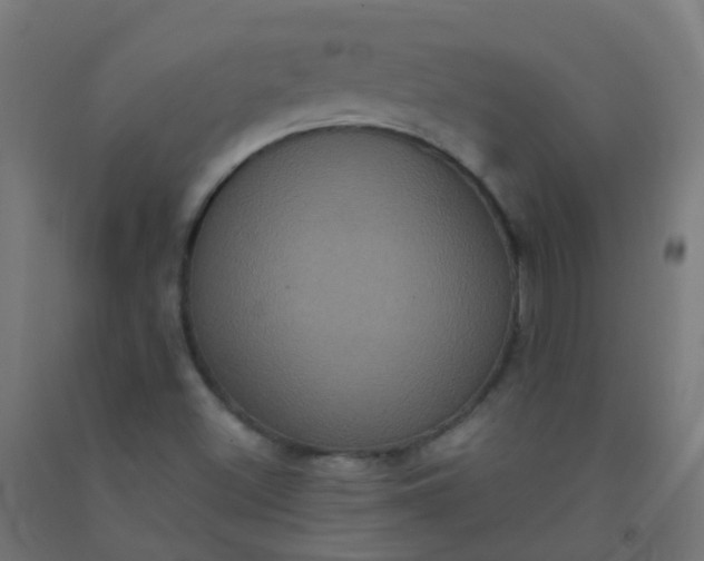 X0000092321500200709281356