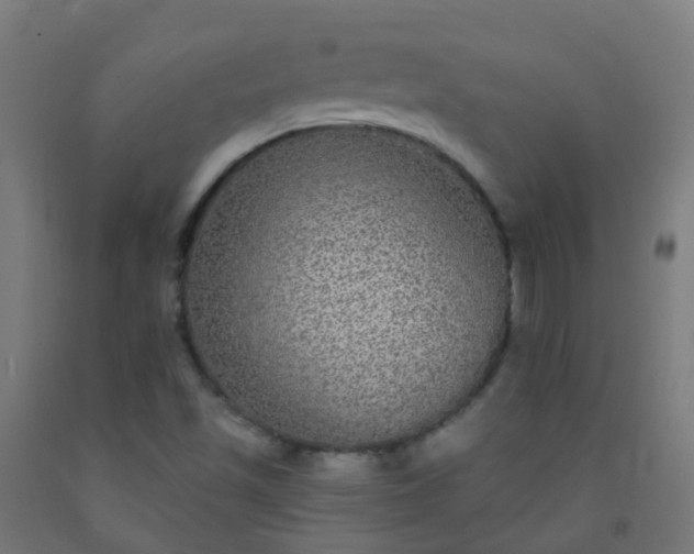X0000092321501200709281356