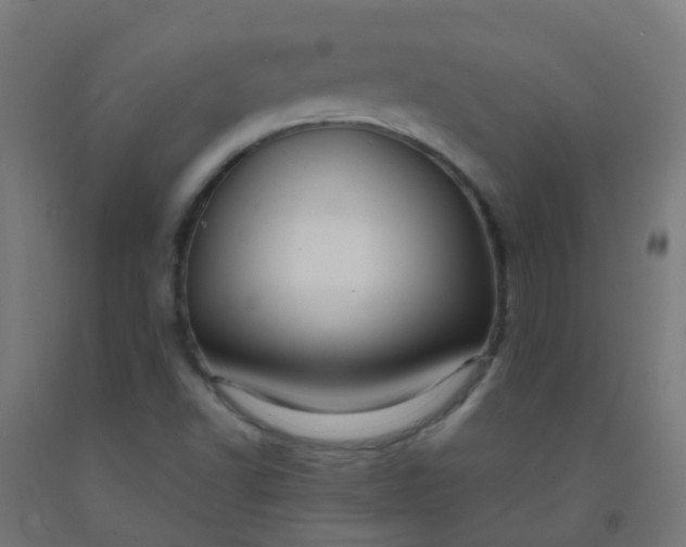 X0000092321502200709281356