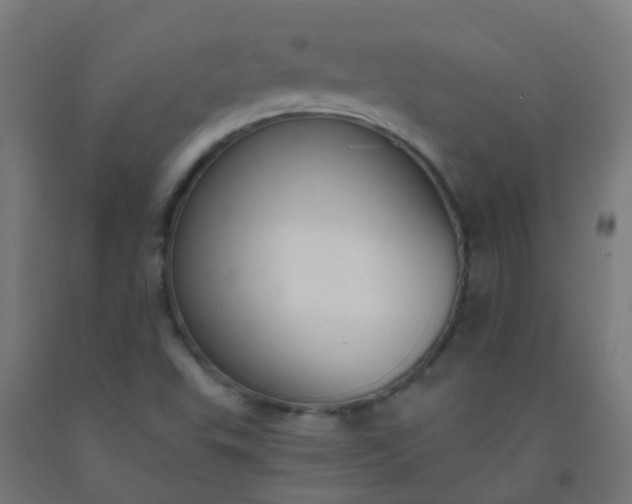 X0000092321503200709281356