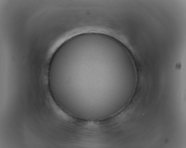 X0000092321504200709281356