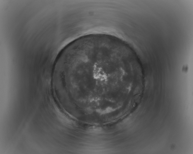 X0000092321505200709281356