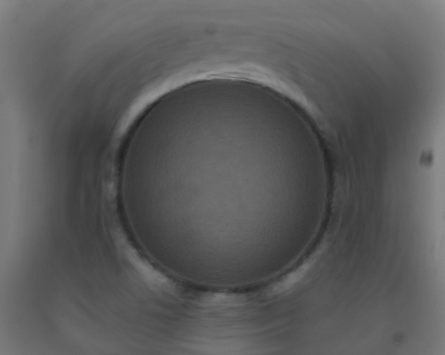 X0000092321506200709281356