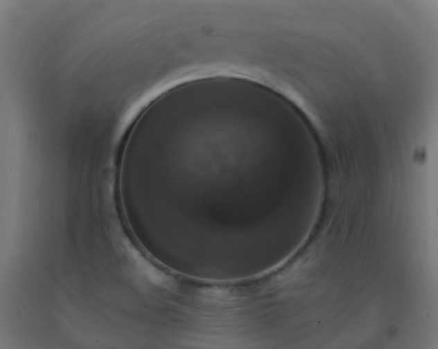 X0000092321508200709281356