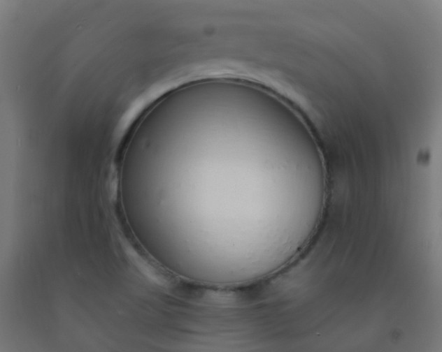 X0000092321509200709281356