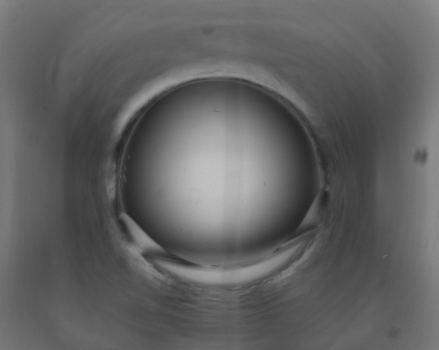 X0000092321510200709281356
