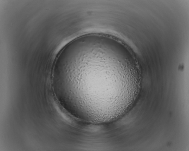 X0000092321513200709281356