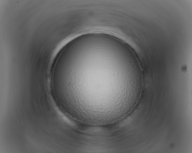 X0000092321517200709281356