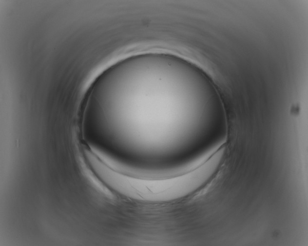 X0000092321518200709281356