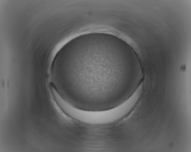 X0000092321520200709281356