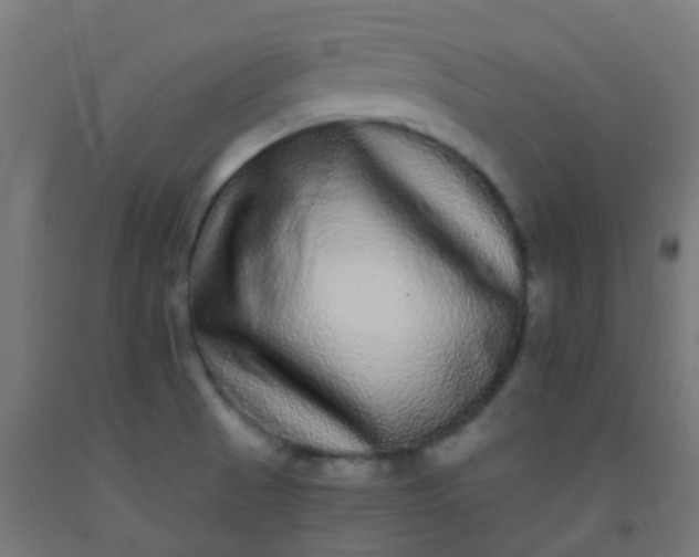 X0000092321521200709281356