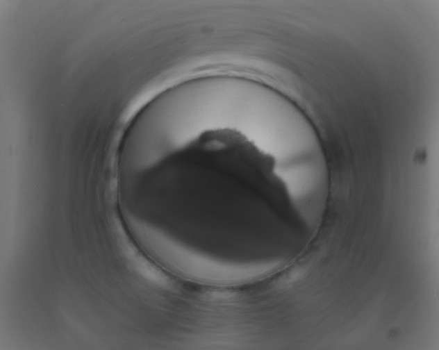X0000092321522200709281356