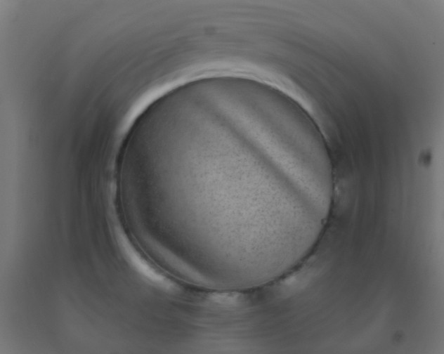 X0000092321523200709281356
