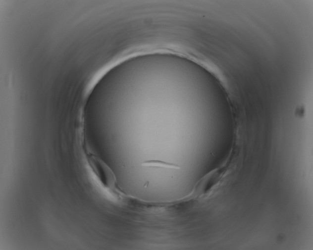 X0000092321524200709281356