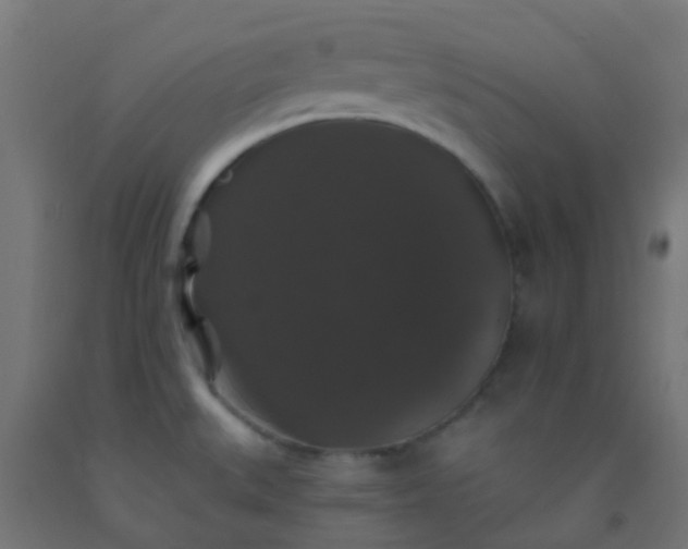 X0000092321527200709281356