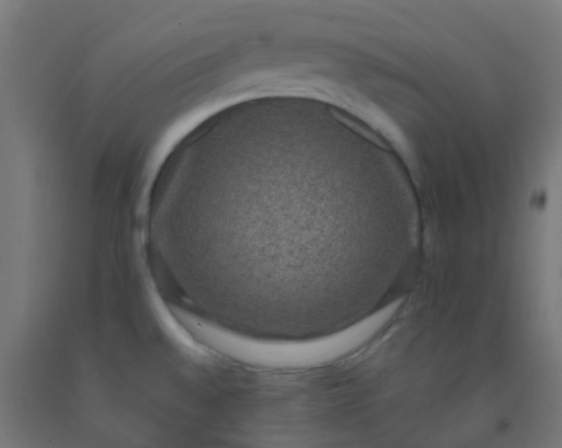 X0000092321528200709281356