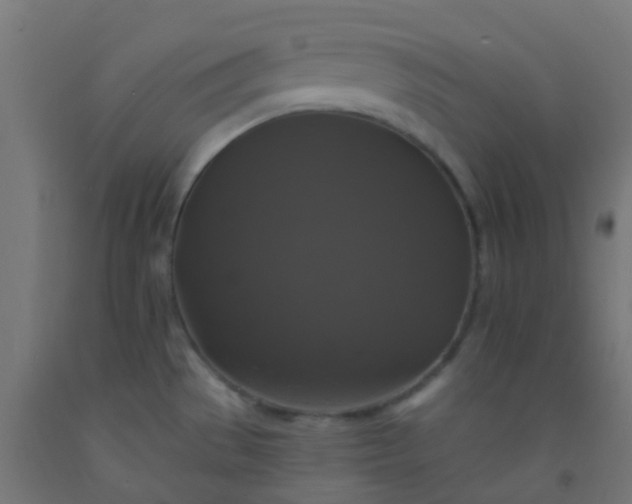 X0000092321529200709281356