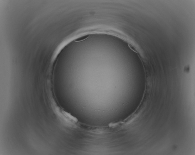 X0000092321530200709281356