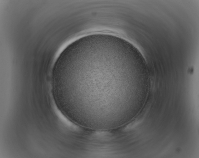X0000092321531200709281356