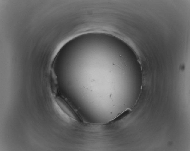 X0000092321532200709281356