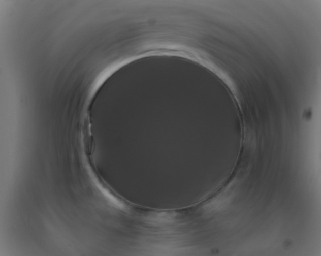 X0000092321533200709281356