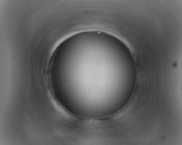 X0000092321534200709281356