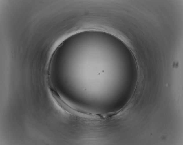 X0000092321536200709281356