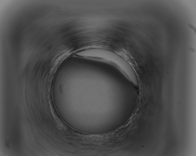X0000092320001200710051305