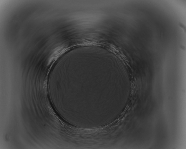 X0000092320002200710051305