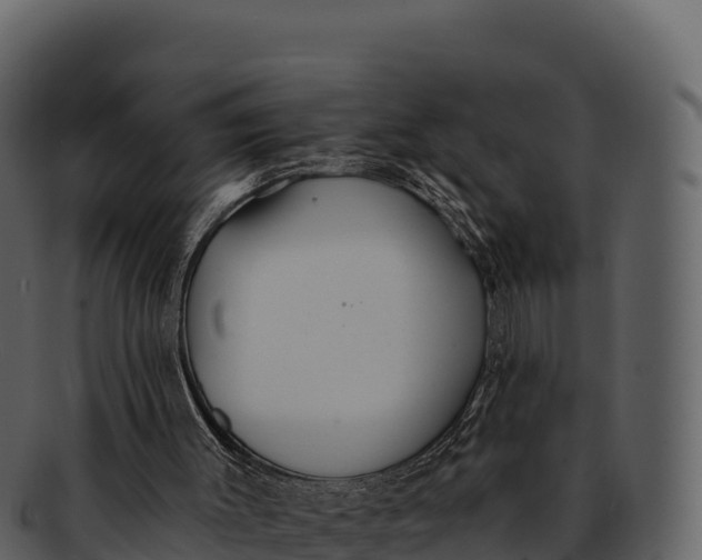 X0000092320003200710051305