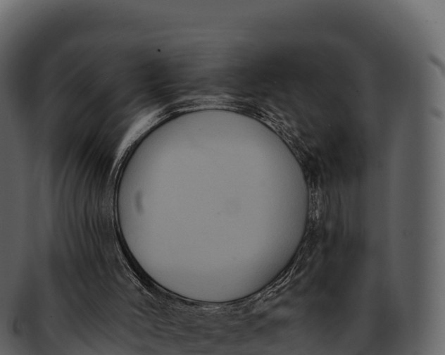 X0000092320004200710051305