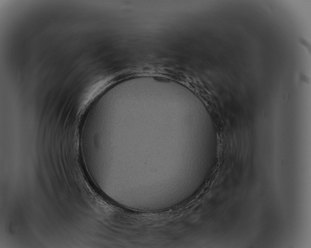 X0000092320005200710051305