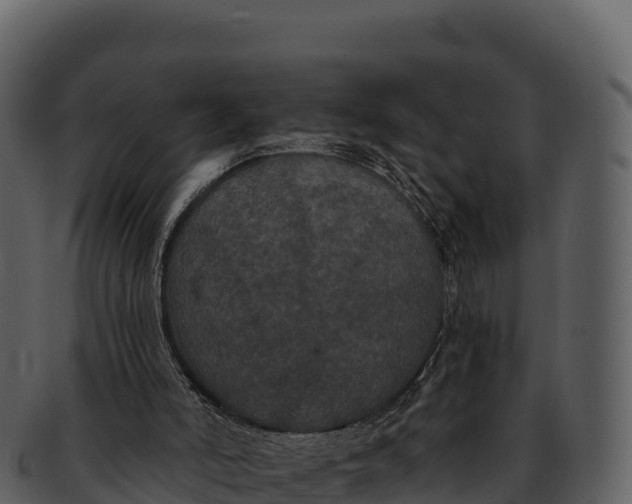 X0000092320006200710051305