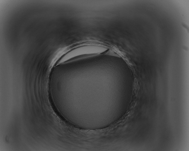 X0000092320007200710051305