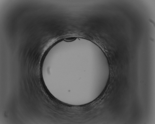X0000092320008200710051305
