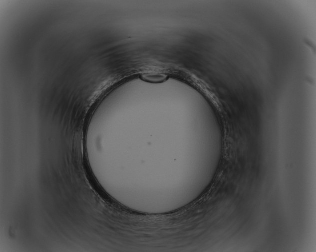 X0000092320011200710051305